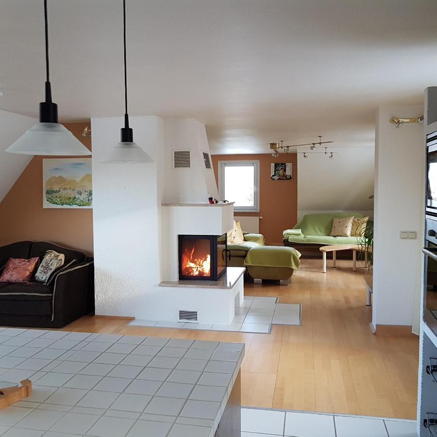 Ferienwohnung Goldene Hoehe Rechenberg-Bienenmuhle Екстер'єр фото